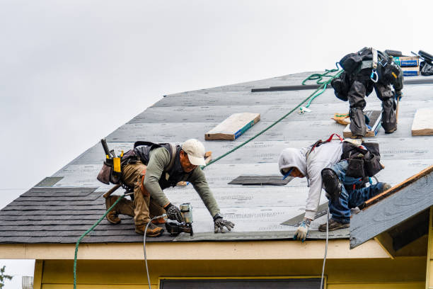 Professional Roof Inspection technician working in Depoe Bay, OR